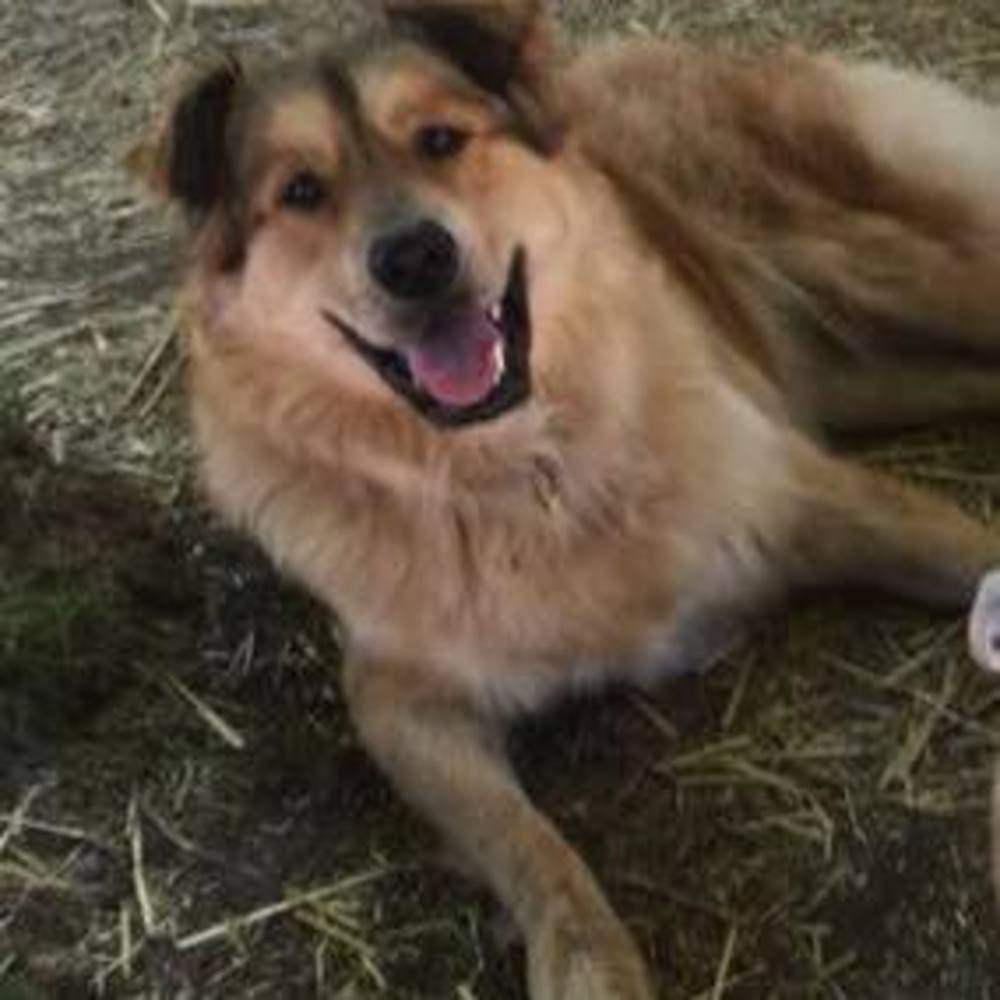 Meet your Posher, Tanja